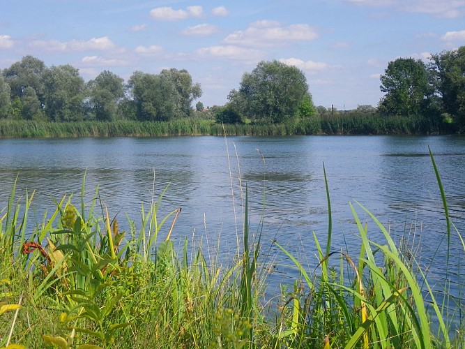Pêche aux Etangs Fédéraux Muller