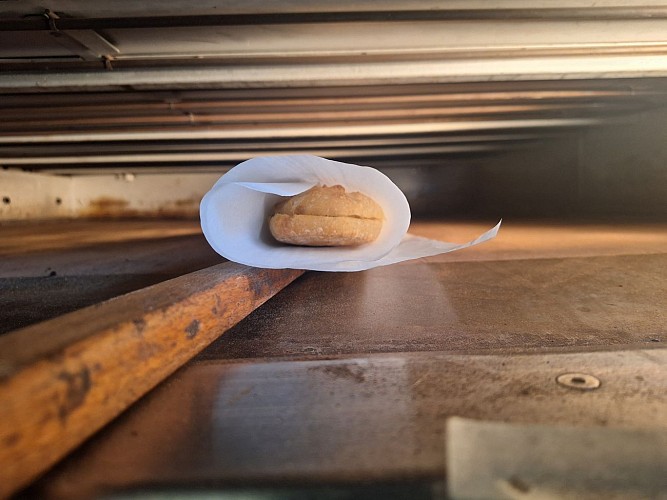 20231203_085248[3698]