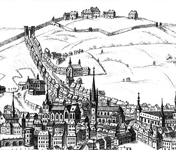 Au sommet du bois des Carmélites