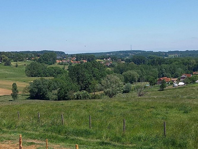 Au sommet du Bois des Carmélites