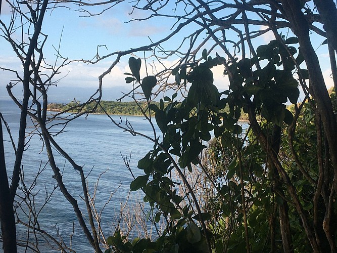 Point de vue sur la plage des Salines