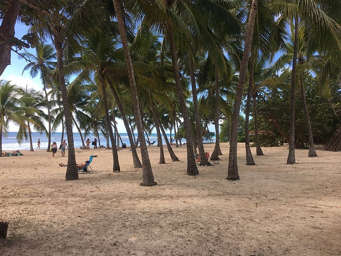 Plage de Bois Jolan