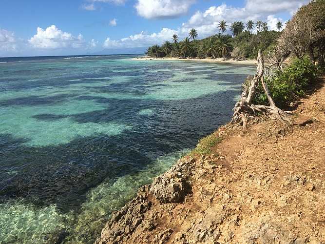 Littoral Anse Belley / Pointe du Helleux