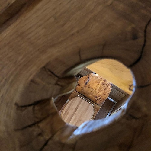 Morlanne cabane aux arbres tordus crédit Pantaléone (11)