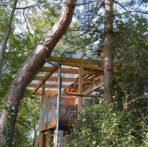 Morlanne cabane aux arbres tordus crédit Pantaléone (10)