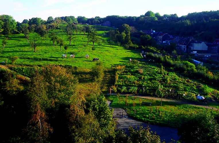 Favechamps (Jardins jésuites)