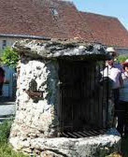 La Hardellière et ses puits