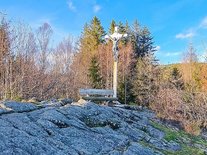 LA ROCHE DU PAGE - FELS