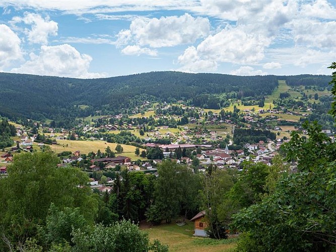 LA ROCHE DU PAGE - FELS