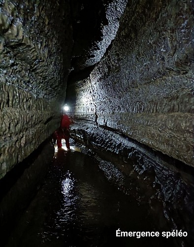 Screenshot_2023-03-11-15-07-25-63_99c04817c0de5652397fc8b56c3b3817