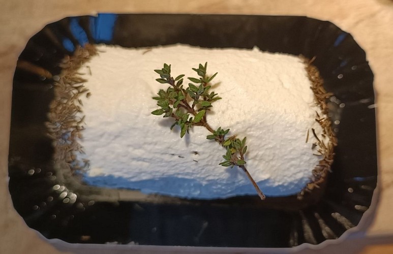 Fromagerievalleedesjerseys3