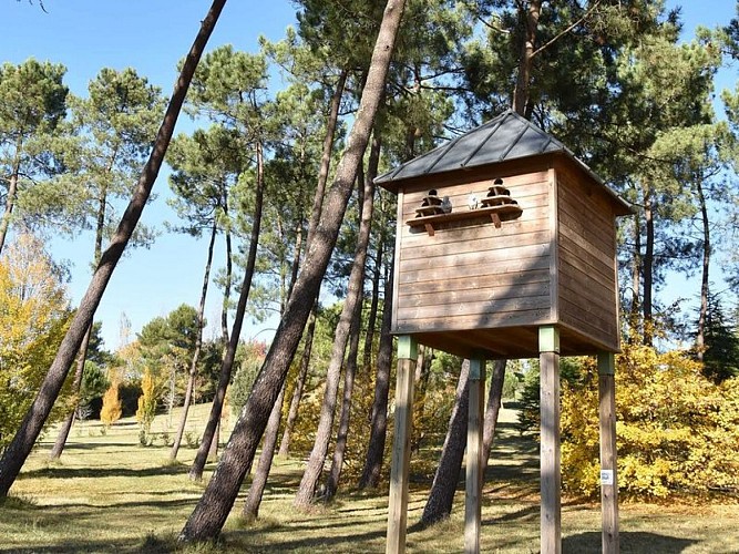Château Robillard - St André de Cubzac (800x600)