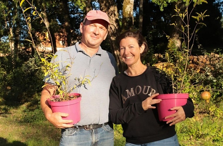 VergerArilles Retouche (7)