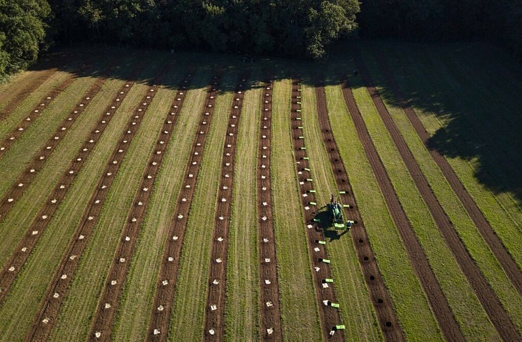 Le verger des Arriles