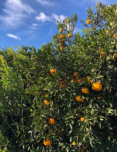 Les Jardins de Lagarde_2