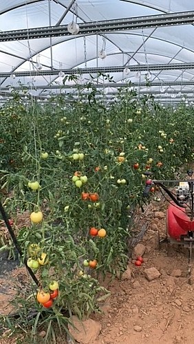 Les Jardins de Lagarde_5