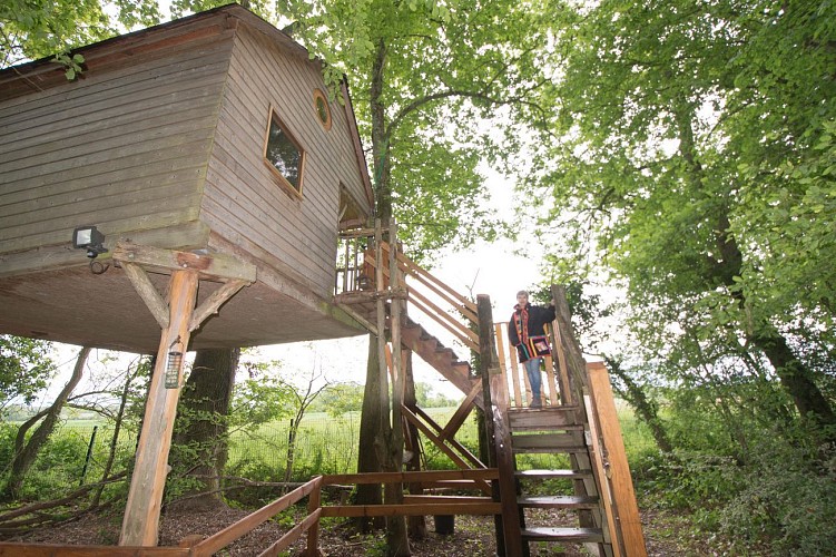 Au Milieu de Nulle Part