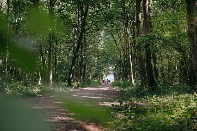 Parc de la Serna