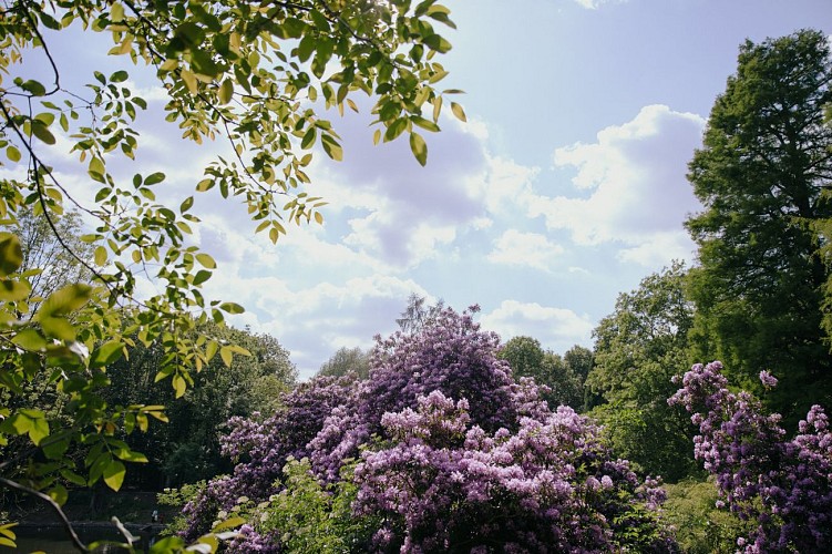 Parc de la Serna