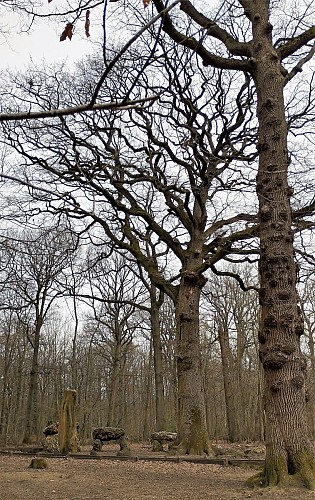 Chêne des Missions - Dolmen et menhirs