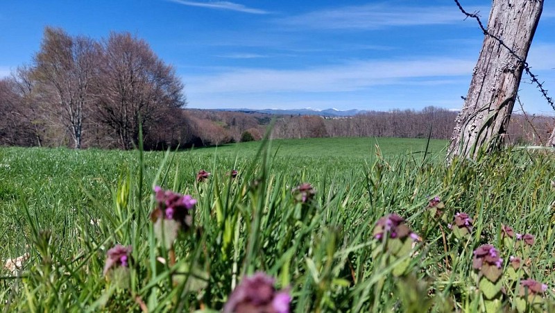 Teissières-lès-Bouliès