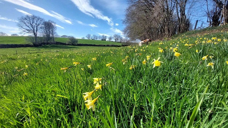 Teissières-lès-Bouliès