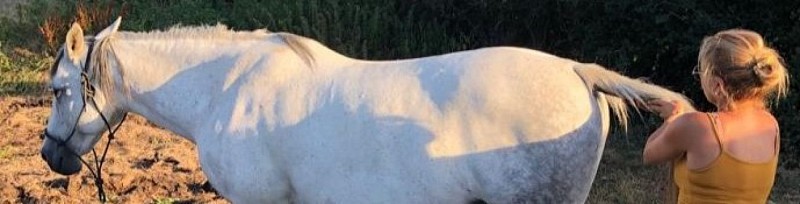 Massage arrière main décontractant