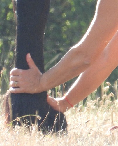 Massage des membres drainant et rafraichissant