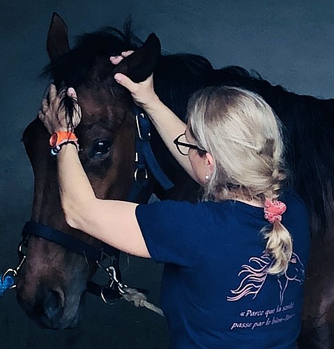 Hippodrome de Cluny Joe Grandson