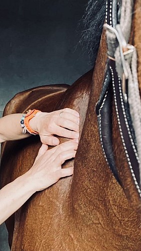 Hippodrome de Cluny Izmir