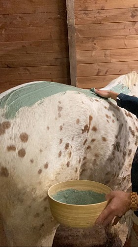 Soin aux algues marines Cavasso revitalisantes et chauffantes