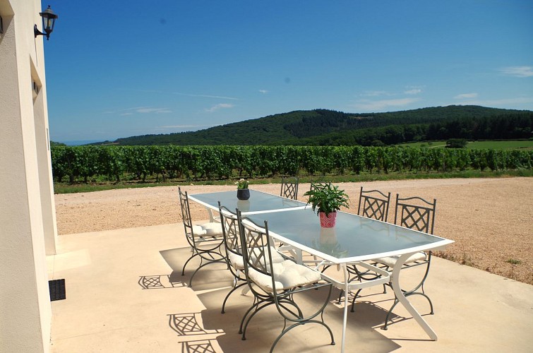 Terrasse aux abords des vignes