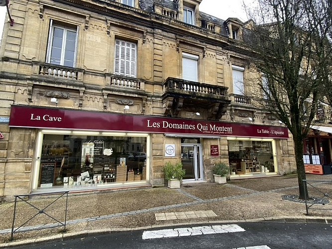 les domaines qui montent