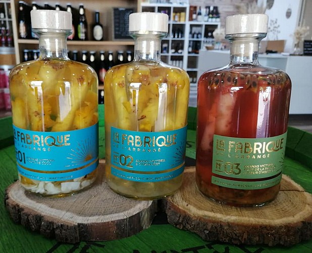 Cave le vin au vert 04