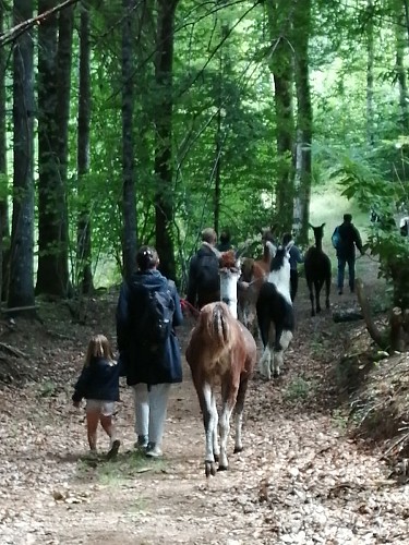 Ferme de Lama'ziere