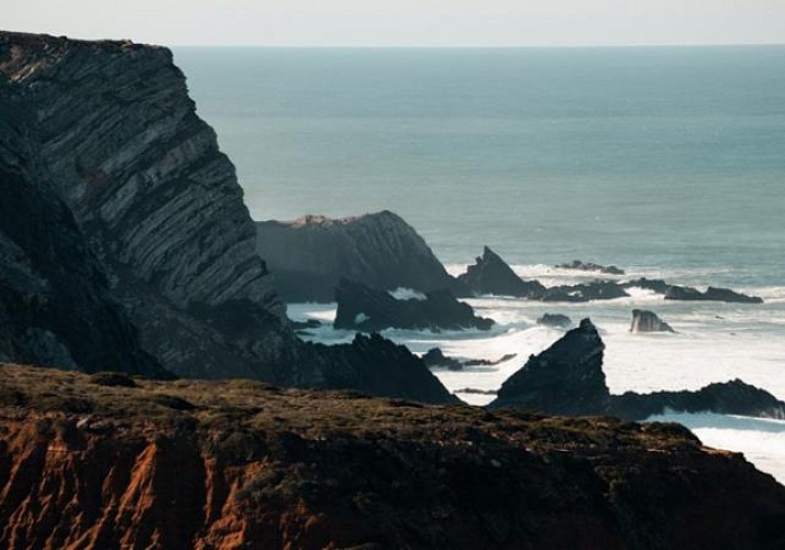 Excursion privée d'une journée en 4x4 sur la Costa Vicentina - En français - Au départ d'Albufeira, Portimão, Lagos et alentours