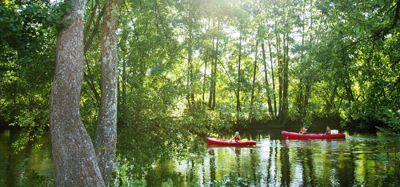 Campagne AdobeStock_232618656 2