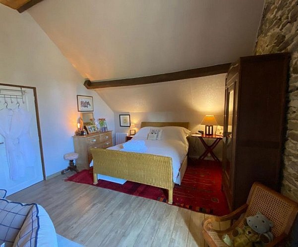 Willow - CH Le Petit Bois - Troche© Samantha Haine