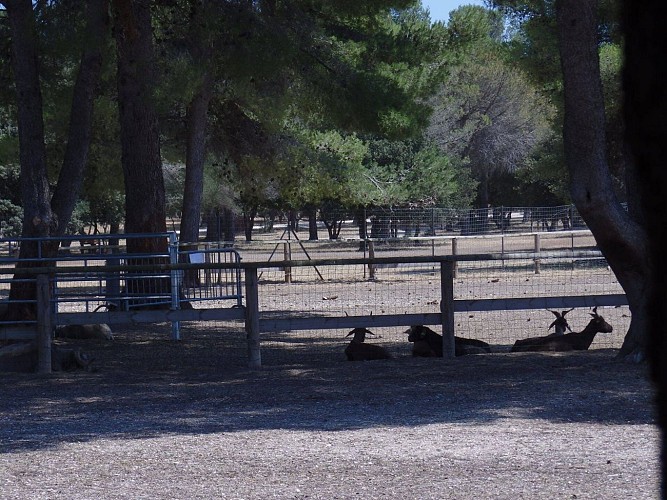 Grand Parc de Figuerolles - Paul Lombard
