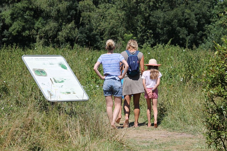 SensoRied Barefoot Trail