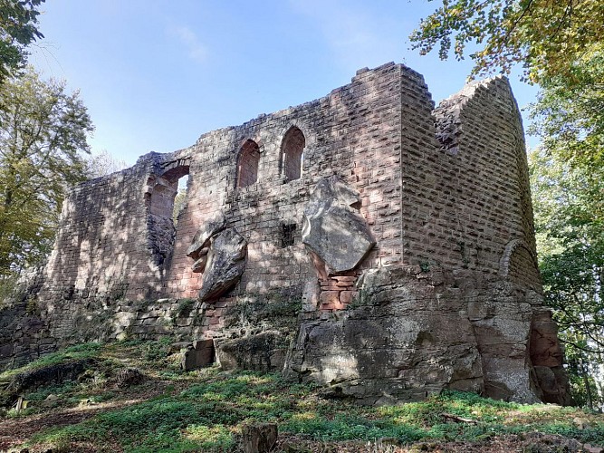 Oedenbourg Castle