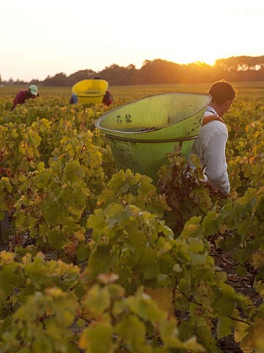 Chateau Chasse Spleen Moulis en Médoc