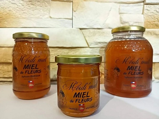 273387826_432003615377679_6029447307561244892_n