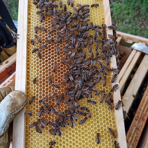 278571153_482533863657987_135378356737456786_n