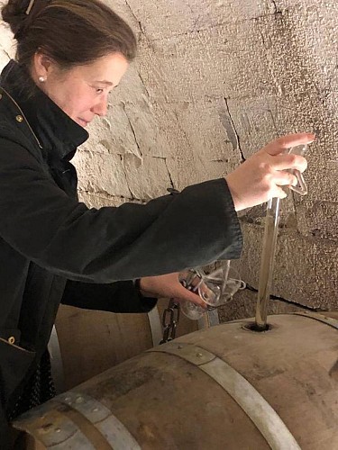 Vignes bourg joly viticulteur vins degustation St Martin de Sanzay Thouarsais