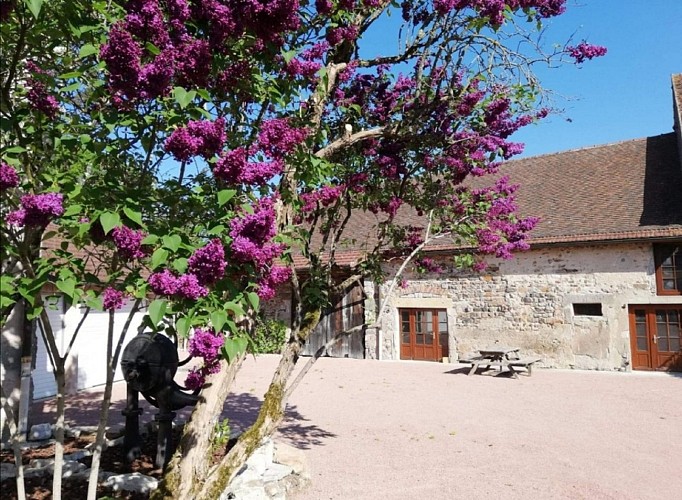 Cour aménagée et fermée