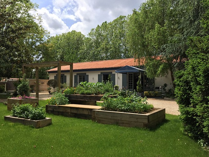 Le jardin des plantes aromatiques