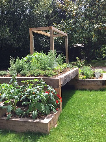 Le jardin des plantes aromatiques