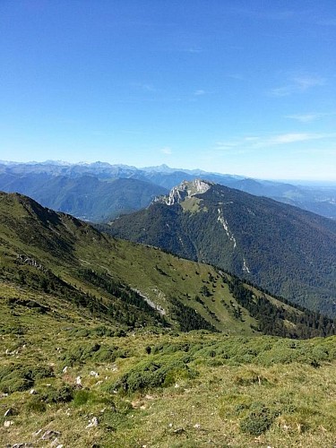 LA BÂTISSE DU DONJON