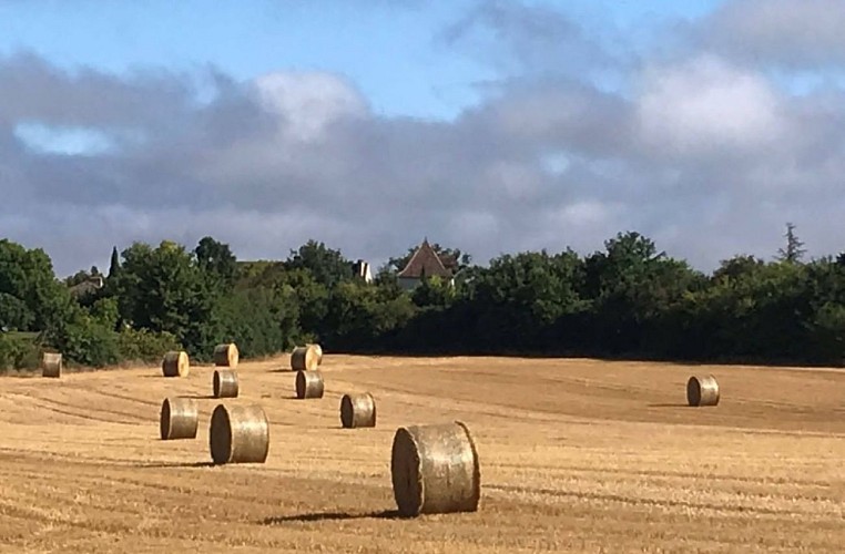 jurmilhac_pigeonnier_blé